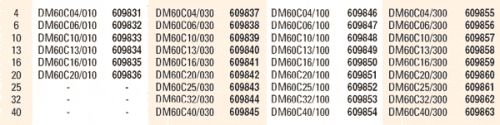 05-DM2
